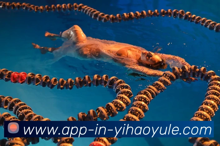 多媒体互动体验